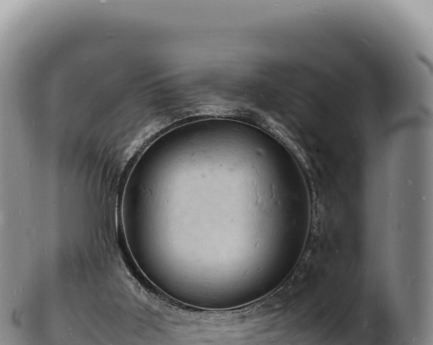 X0000103250011200809041119