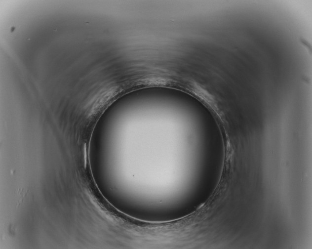 X0000103250013200809041119