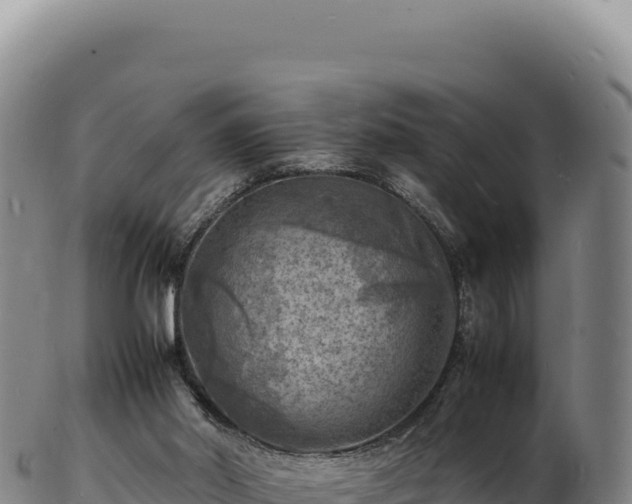 X0000103250014200809041119