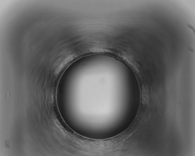 X0000103250015200809041119