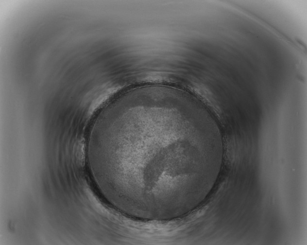 X0000103250016200809041119