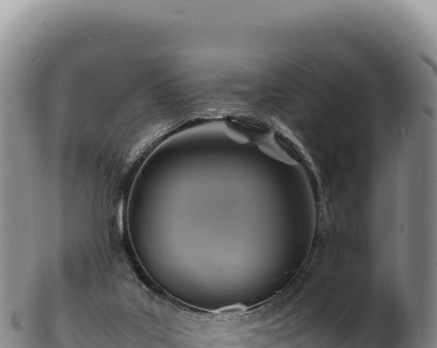 X0000103250019200809041119
