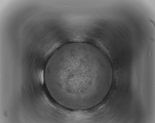 X0000103250020200809041119