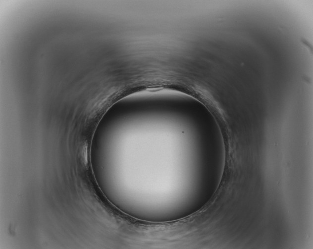 X0000103250021200809041119