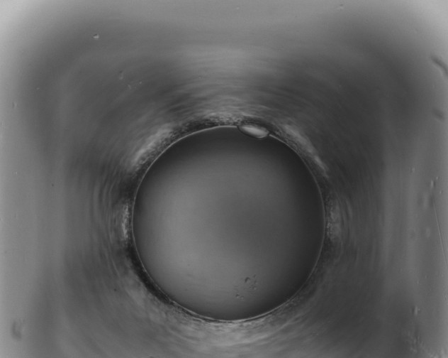 X0000103250023200809041119