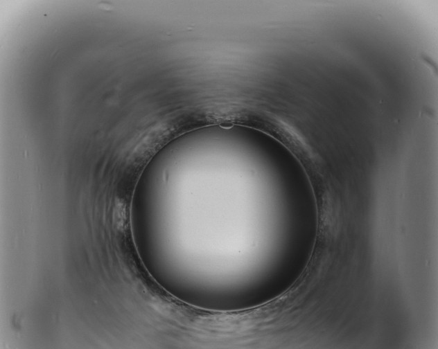 X0000103250025200809041119
