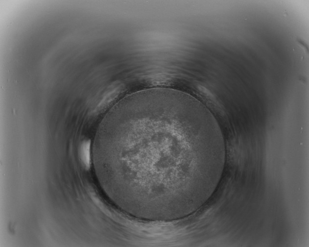 X0000103250028200809041119