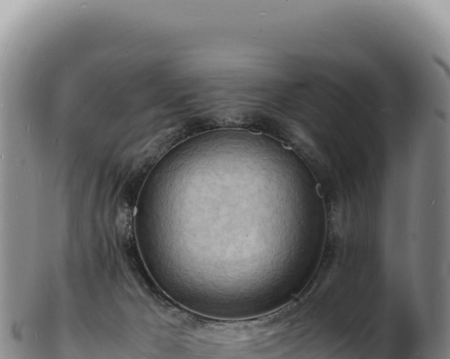 X0000103250029200809041119