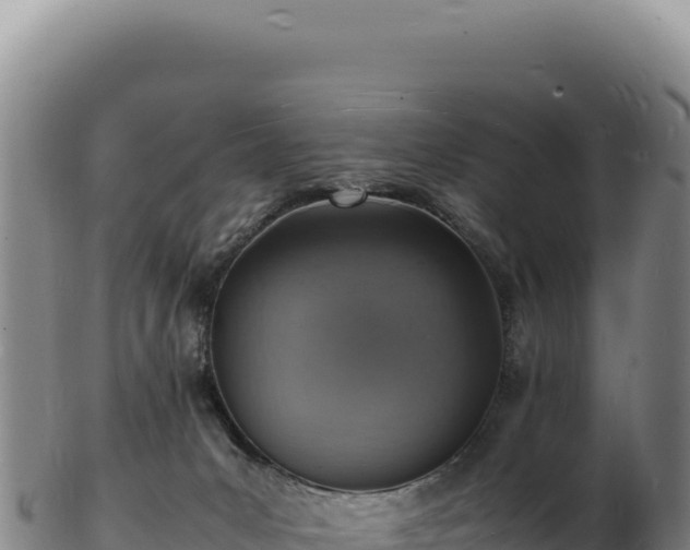 X0000103250031200809041119