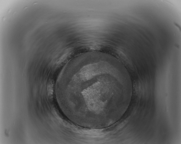 X0000103250032200809041119