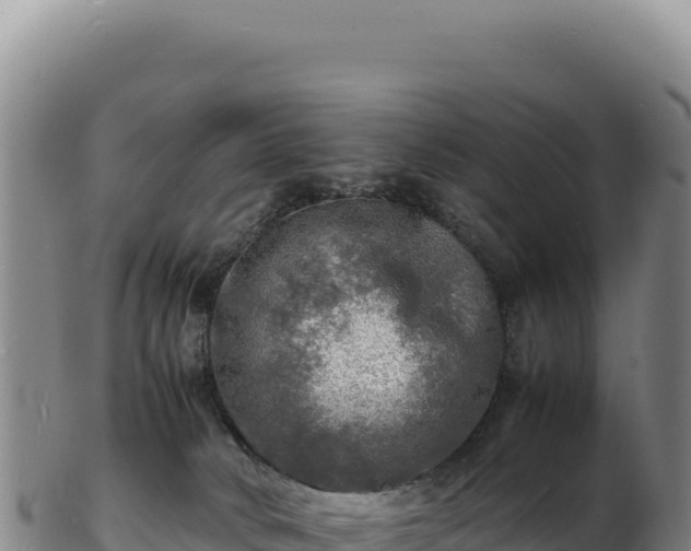 X0000103250034200809041119