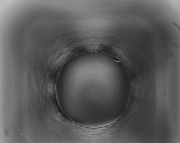 X0000103250035200809041119
