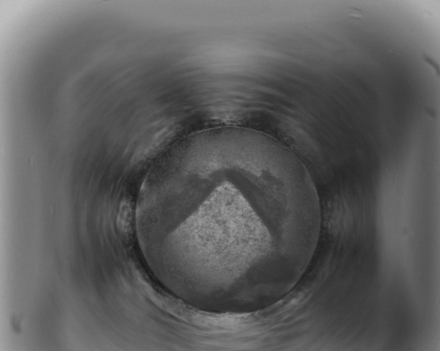 X0000103250036200809041119