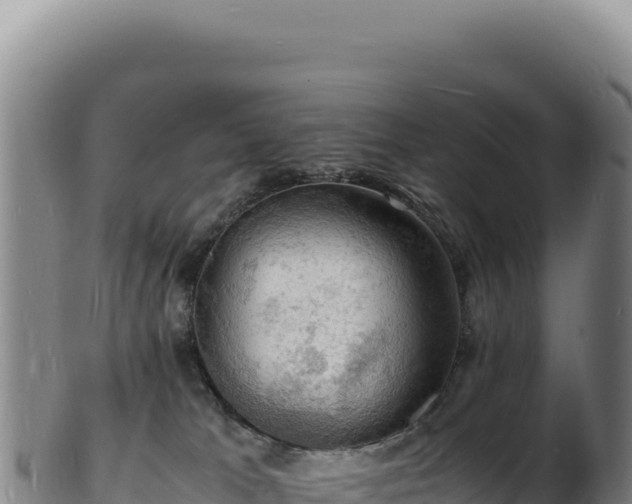X0000103250037200809041119