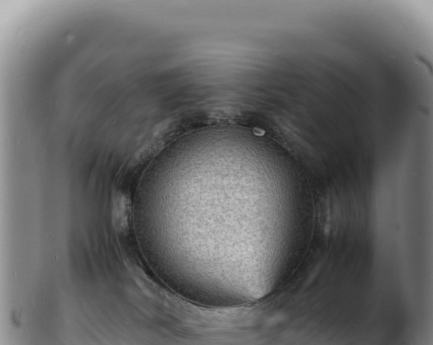 X0000103250038200809041119
