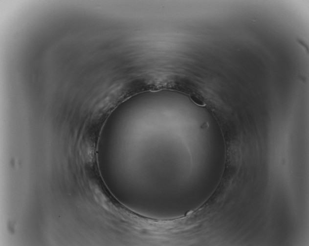 X0000103250039200809041119