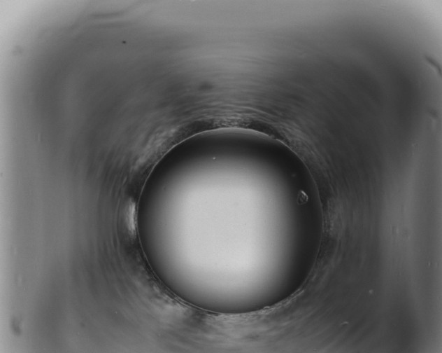 X0000103250041200809041119