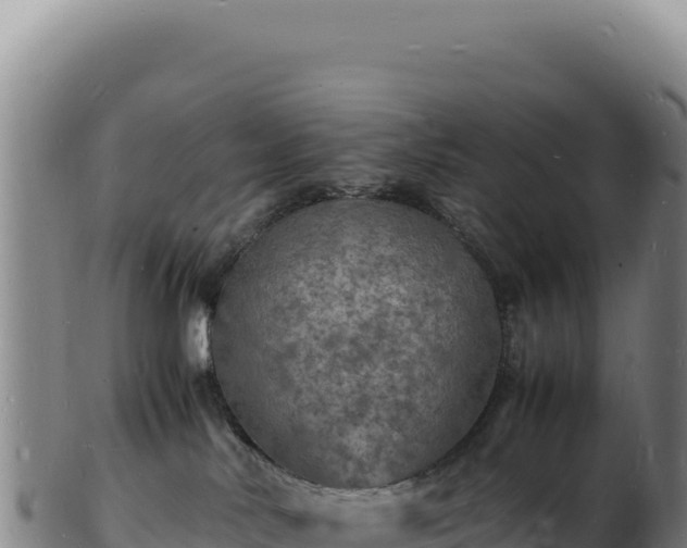 X0000103250042200809041118