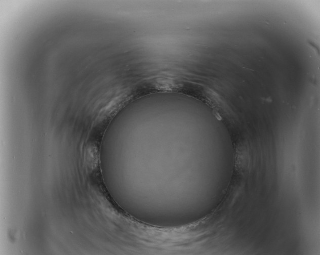 X0000103250043200809041118