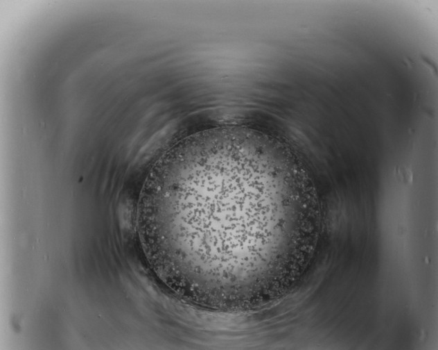X0000103250044200809041118