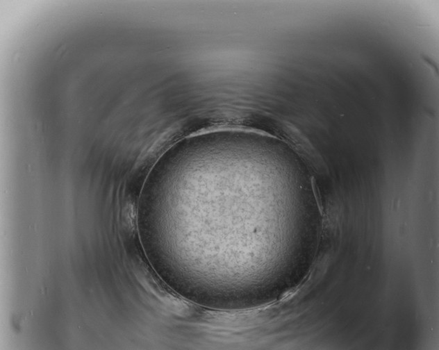 X0000103250045200809041118