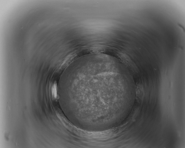 X0000103250046200809041118