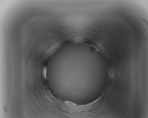 X0000103250047200809041118