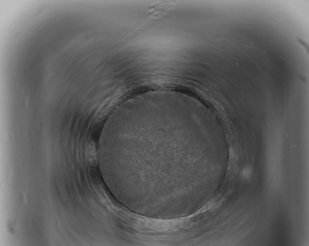 X0000103250048200809041118