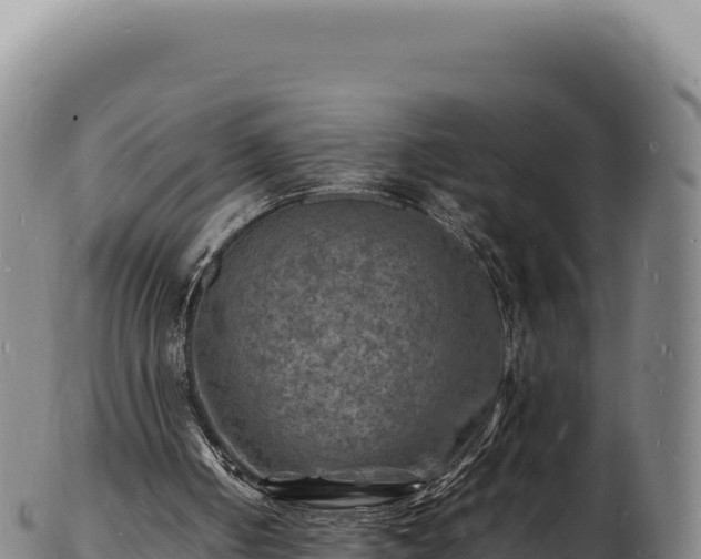 X0000103250050200809041118