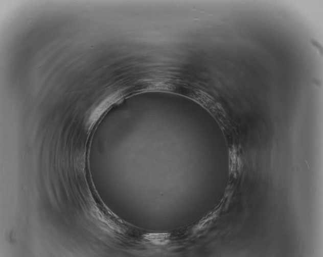X0000103250051200809041118