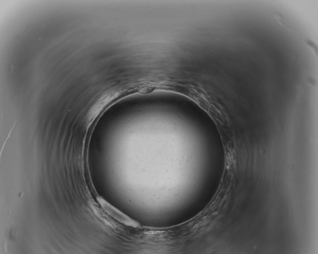 X0000103250052200809041118