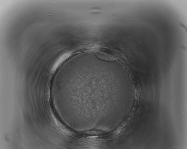 X0000103250054200809041118