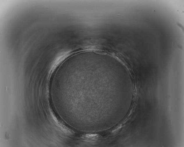 X0000103250055200809041118