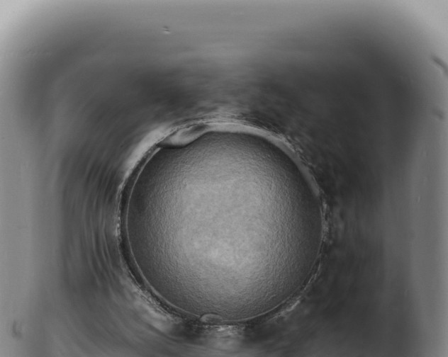 X0000103250056200809041118