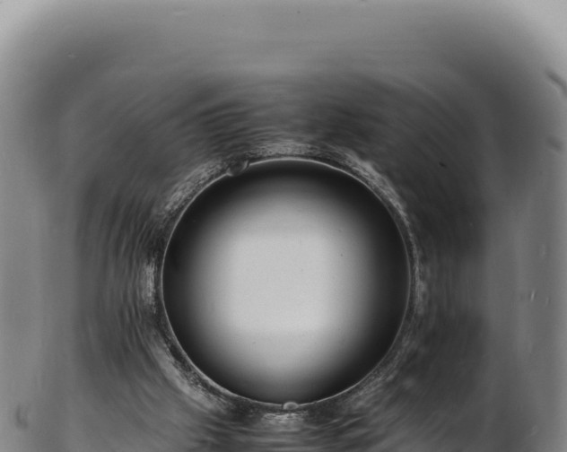 X0000103250057200809041118