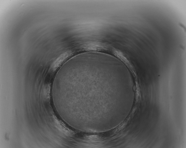 X0000103250058200809041118