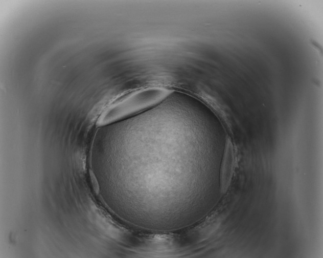 X0000103250060200809041118