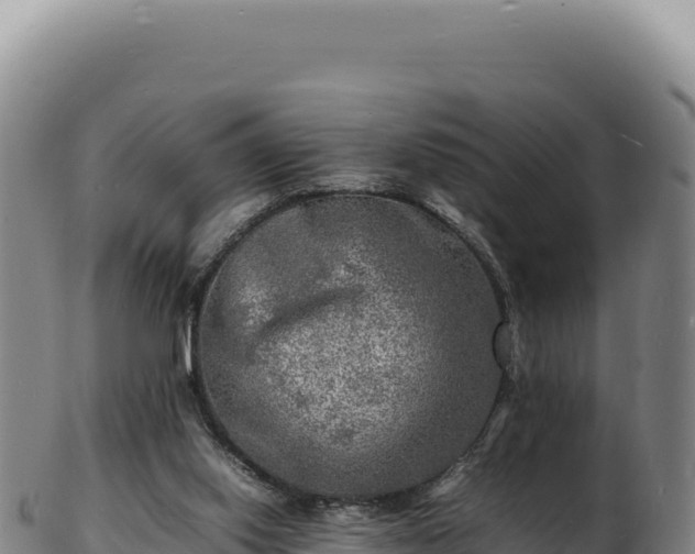 X0000103250062200809041118