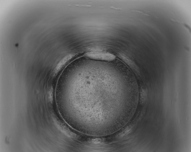 X0000103250064200809041118
