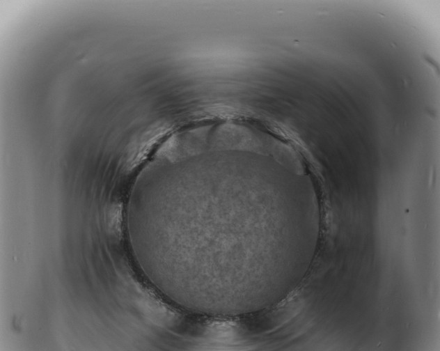X0000103250066200809041118