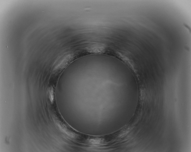 X0000103250069200809041118