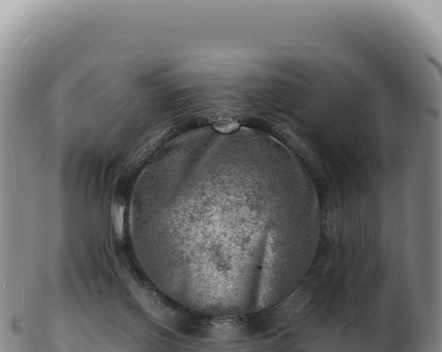 X0000103250070200809041118