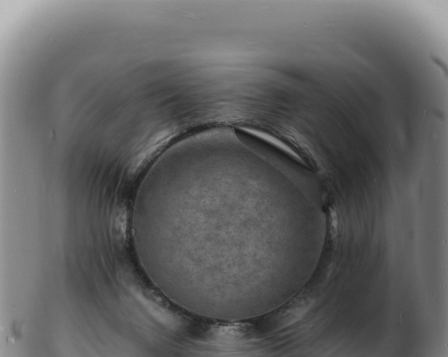 X0000103250072200809041118