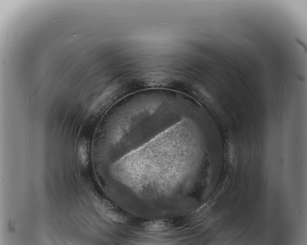 X0000103250074200809041118