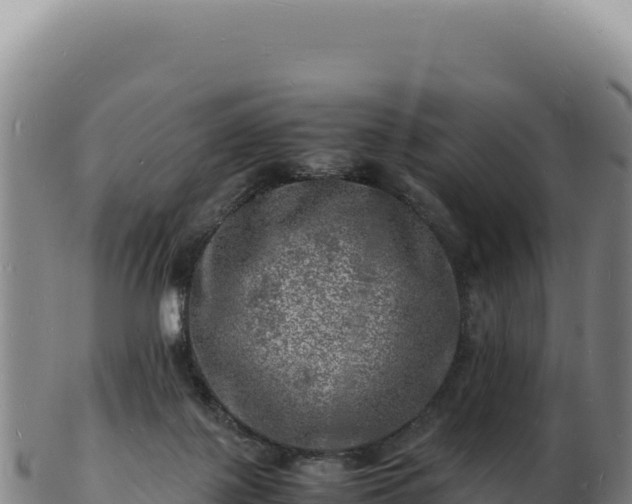 X0000103250075200809041118