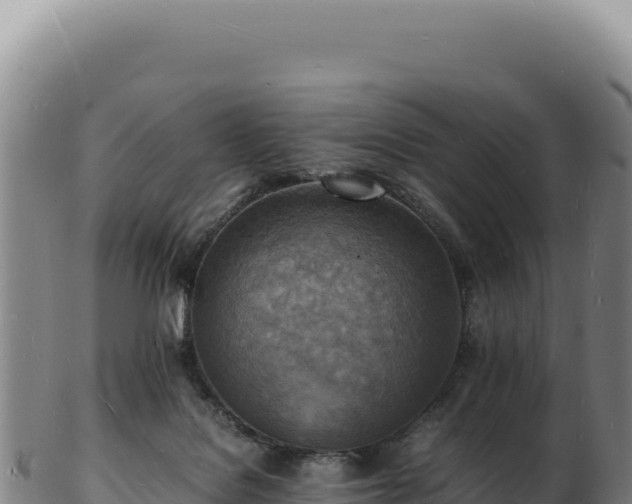 X0000103250076200809041118
