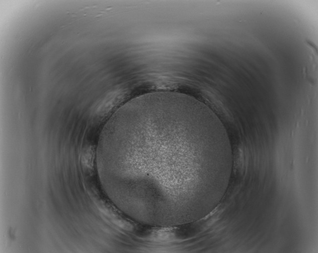 X0000103250078200809041118