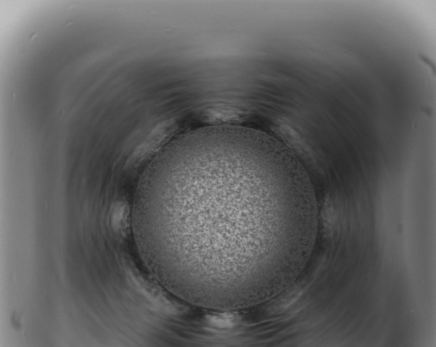 X0000103250079200809041118