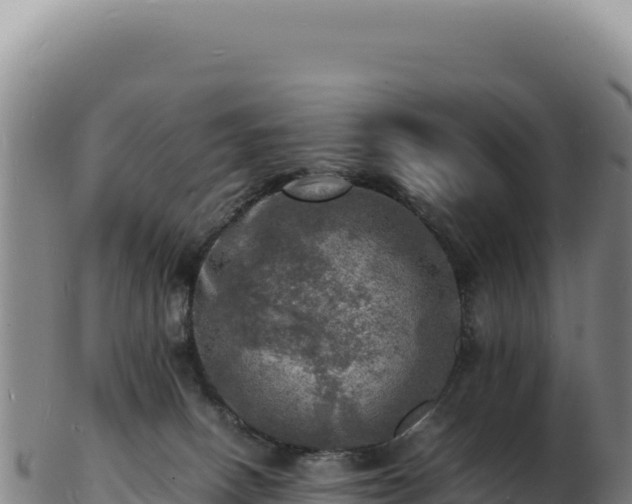 X0000103250082200809041118