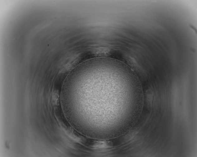 X0000103250083200809041118